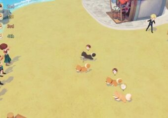 STORY OF SEASONS