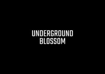 Underground Blossom