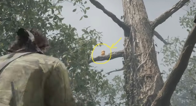 All Ga-Ko location