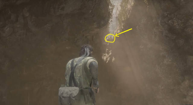 Metal Gear Solid Delta Snake Eater