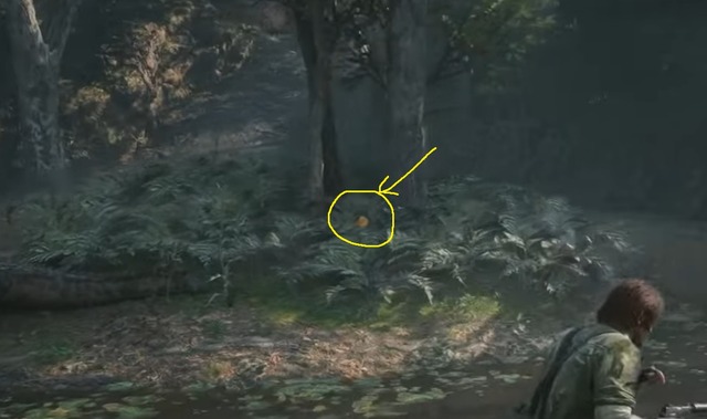 All Ga-Ko location