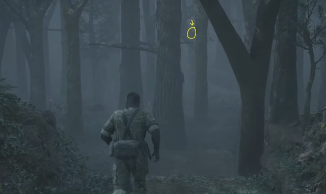 Metal Gear Solid Delta Snake Eater