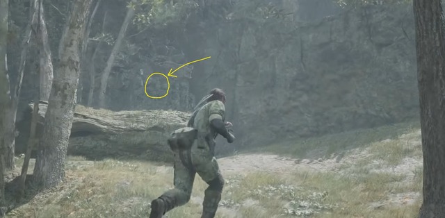 Metal Gear Solid Delta Snake Eater