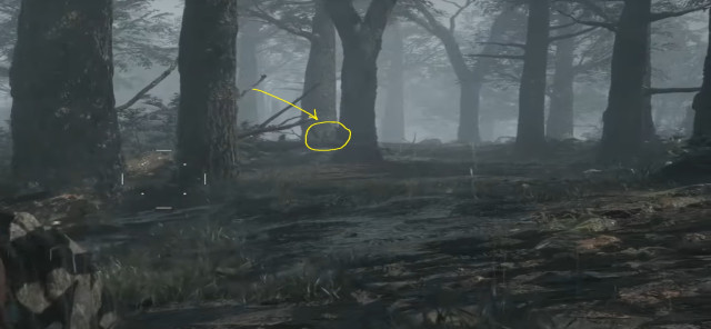 Gako location