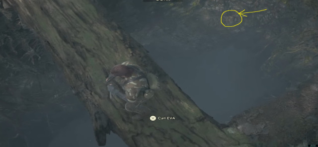 Gako location