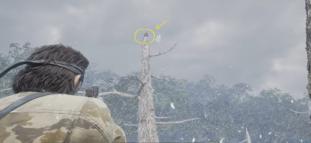 Metal Gear Solid Delta Snake Eater