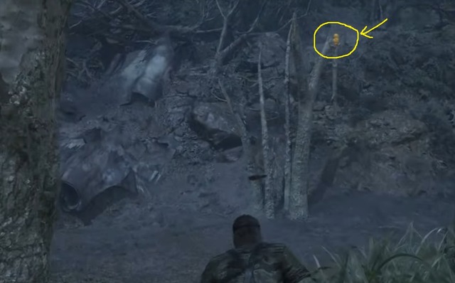 All Ga-Ko Location