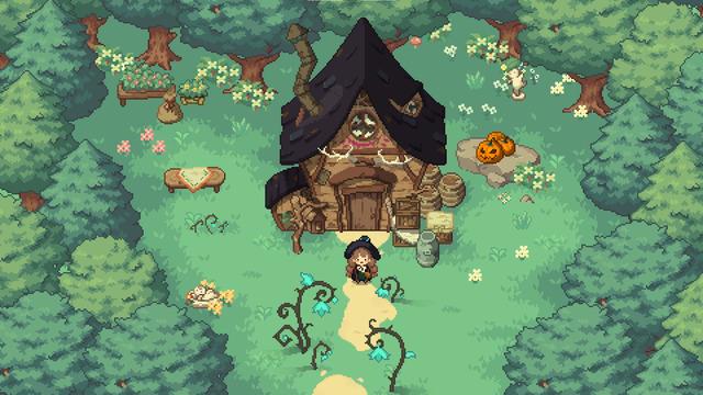 Little Witch In The Woods